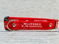 Neutered and Chipped Dog Collar 3