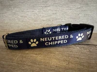 Neutered and Chipped Dog Collar 8