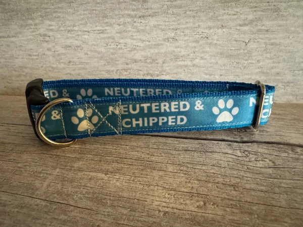 Neutered and Chipped Dog Collar
