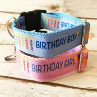 Birthday Boy Birthday Girl Dog Collar 2