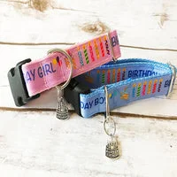 Birthday Boy Birthday Girl Dog Collar 1