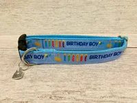 Birthday Boy Birthday Girl Dog Collar 4