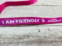 I am Friendly Ribbon Dog Lead 3