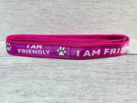 I am Friendly Ribbon Dog Lead 2