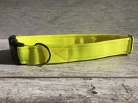 Plain Bright Yellow Hi-Viz Cushioned Webbing Dog Collar 4