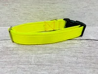 Plain Bright Yellow Hi-Viz Cushioned Webbing Dog Collar 2