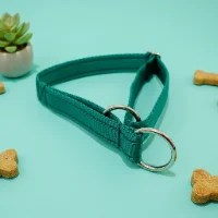 Plain Semi-Slip Dog Collar 1