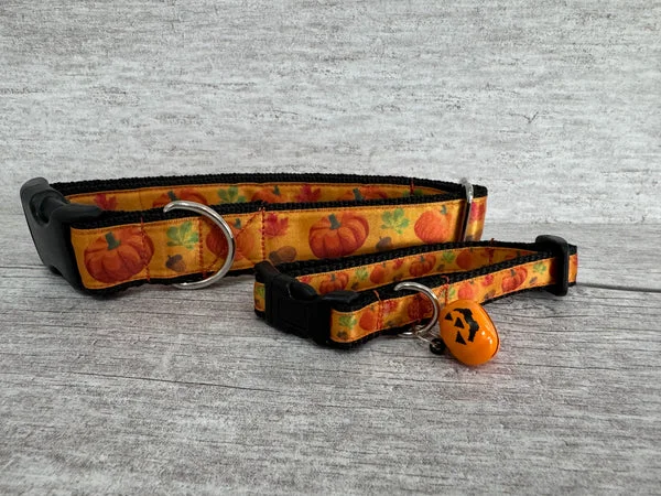 Pumpkin Autumn Acorn Leaf Puppy/Small Dog Collar