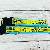 Personalised Dog Walker Collar - Call if Found 2