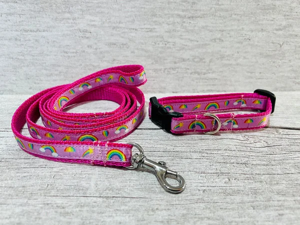 Rainbows Puppy/Small Dog Collar