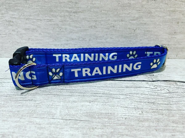 Training Alert Dog Collar - Handmade in the UK