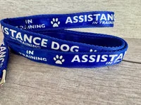 In Training Assistance Alert Dog Collar 5