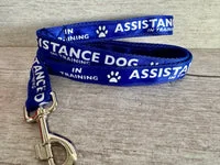 In Training Assistance Alert Dog Collar 3