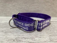 In Training Assistance Alert Dog Collar 6