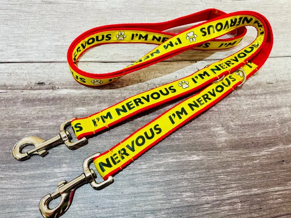Yellow on Red Nervous Alert Dog Lead