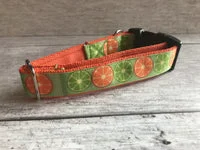 Lemon and Limes Dog Collar 2