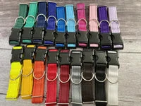 Plain Dog Collar with Silver Side Release 5