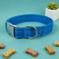 Plain Dog Collar with Silver Side Release 1