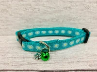 Daisy Print Puppy/Small Dog Collar 1