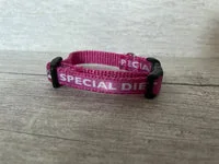 Special Diet - Do Not Feed Ribbon Medical Alert Cat Collar 10