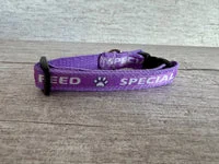 Special Diet - Do Not Feed Ribbon Medical Alert Cat Collar 14