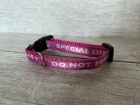 Special Diet - Do Not Feed Ribbon Medical Alert Cat Collar 11