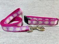 Single Daisy Daisies Ribbon Lead 2