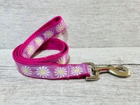 Single Daisy Daisies Ribbon Lead 1
