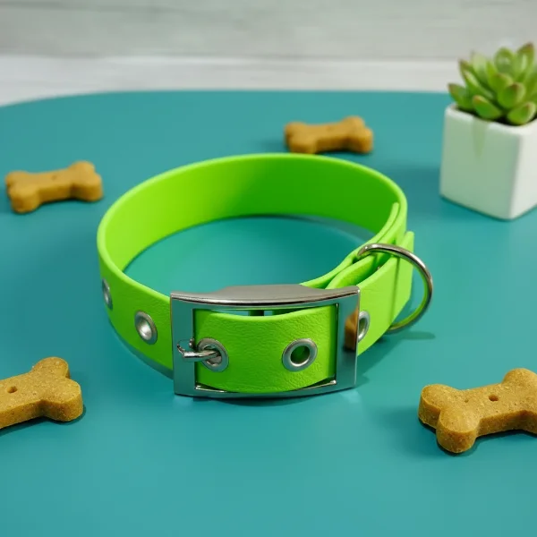 Pale Green Biothane Dog Collar - Waterproof