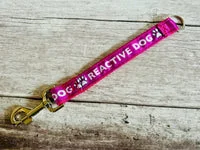 Alert Short Extension Dog Lead | UK 15