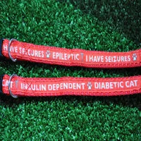 Medical Alert Cat Collar - Epileptic Seizures & Diabetic Cats 5