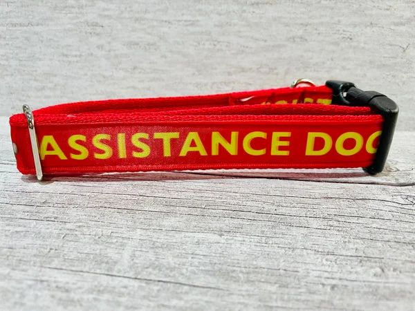Red with Yellow Text Assistance Alert Dog Collar