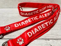 Diabetic Alert Dog Medical Alert Dog Lead 3