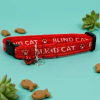 Blind Cat Collar 1