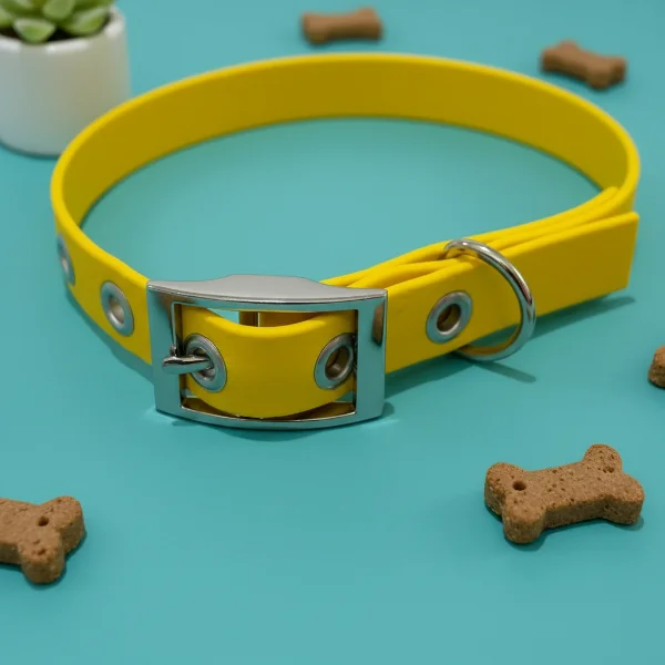 Yellow Biothane Waterproof Dog Collar