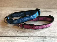Blue Marriage Wedding Puppy Collar Will you Marry Me? 1