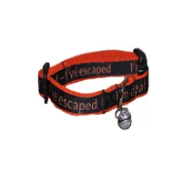 Personalised Name Cat Collar 7