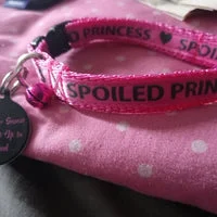 Personalised Name Cat Collar 11
