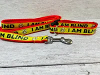 I Am Blind Dog Collar - Yellow on Red 5