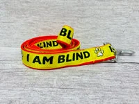 I Am Blind Dog Collar - Yellow on Red 3