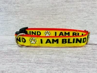 I Am Blind Dog Collar - Yellow on Red 2