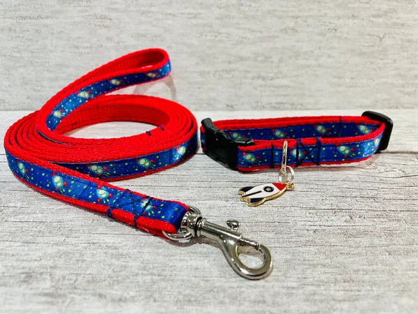 Rocket Space Puppy - Small Dog Collar