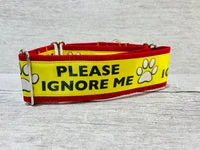 Please Ignore Support Alert Dog Collar 10