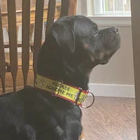 Please Ignore Support Alert Dog Collar 15