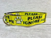 Please Ignore Support Alert Dog Collar 7