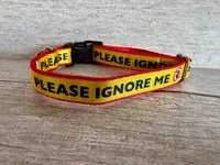 Please Ignore Support Alert Dog Collar 2