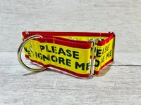 Please Ignore Support Alert Dog Collar 9
