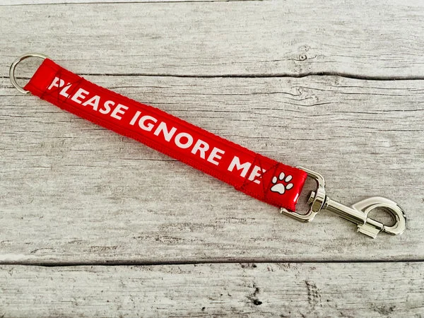 Please Ignore Me Alert Short Extension Dog Lead | UK