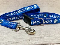 Assistance Dog Lead 4