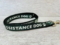 Assistance Dog Lead 5